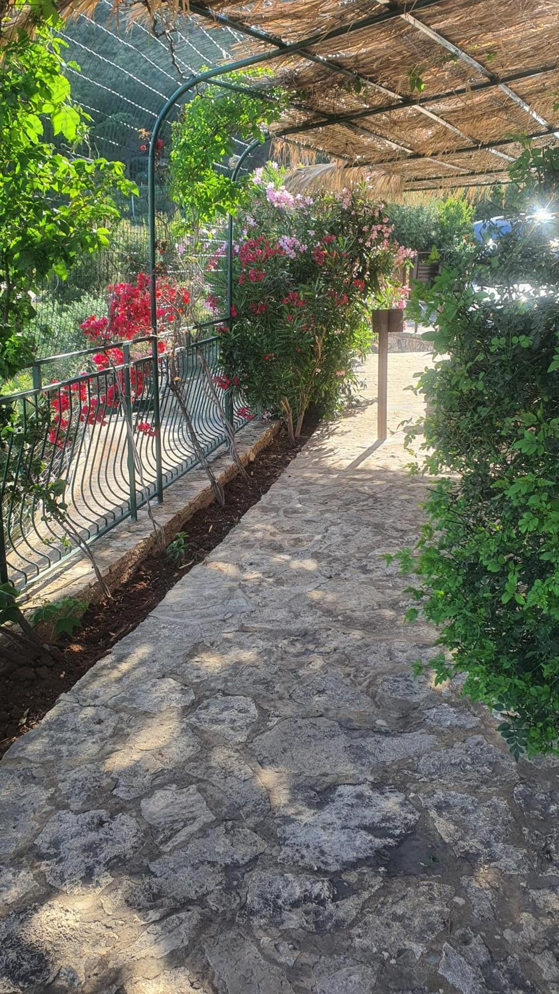 Palma Dello Zingaro Villa Scopello  Luaran gambar